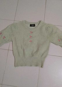 pista colour Embroidered crop top