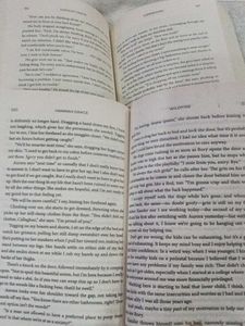 Icebreaker &amp; Wildfire Books by Hannah Grace
