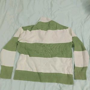 Green &amp; White Striped Collared Sweater