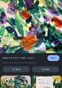 Zara Abstract Floral Scarf