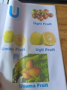 A to Z Fruit Pictionary Book