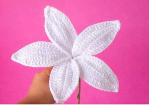 Crochet Lily