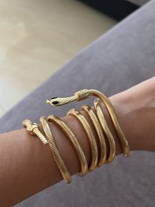 snake multistyle gold coil