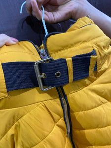 zara Mustard Puffer Jacket