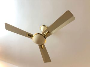 Elegant Ceiling Fan