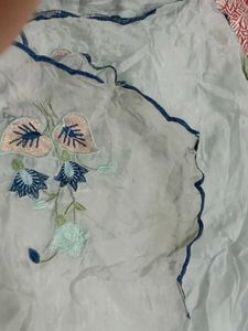 Plazzo Suit With Organza Dupatta