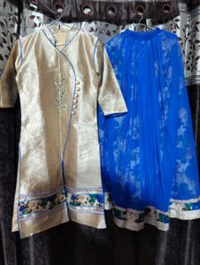 Vibrant Blue Floral Ethnic Skirt