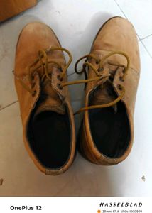 Shoe