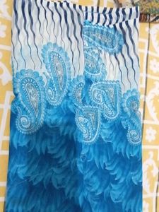 Blue &amp; White Printed Saree