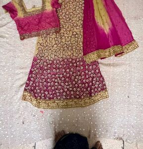 y2k Embellished Lehenga Choli Set