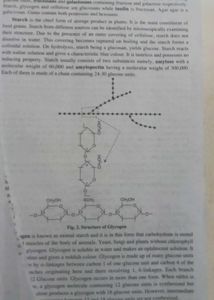 BSc Notes Botany &amp; Zoology