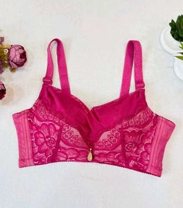 Sheer Lace Pink Bra