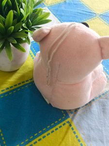 Pink Teddy Bear Small | For Kids