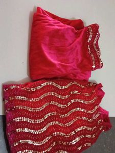 Stunning Sequin Lehenga Choli