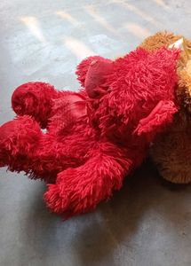 Red Plush Teddy Bear
