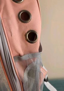 Pet Carrier Backpack for Cats &amp; Small Dogs