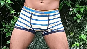 Peter England Striped trunks