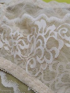 2012 -- Transparent Lace Trim panty
