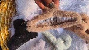 Korean Fur Hair Clutchers For Girls Pack Of 2