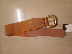 Elastic Belt with Gold Buckle