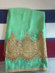 Elegant Mint Green Saree with Gold Embroidery