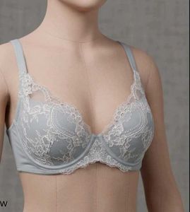 Elegance Lace Push-Up Bra - Baby Blue