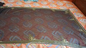 Elegant Brown Saree with Gold Border