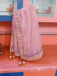 Beautiful Lehnga Choli Set