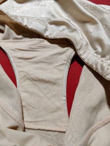 Women's Nude Seamless Full Brief Panty | 4XL