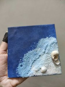 Seashell Beach Art Canvas