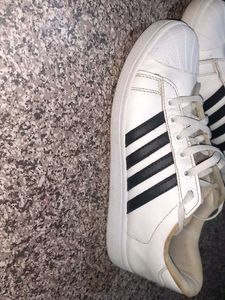 crisp white Sparx sneakers