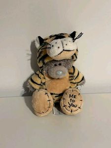 Teddy Bear in Tiger Costume