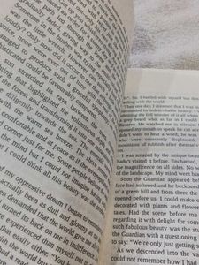 Reality Transurfing Steps I-V Book