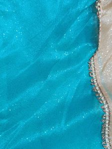 Designer Saree with Embellishments