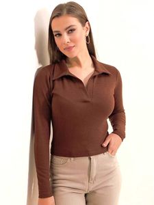 Brown Ribbed Long Sleeve Collared Top