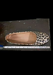 Leopard 🐆 Print Flat Ballerina