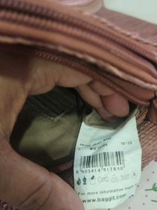 Baggit Handbag