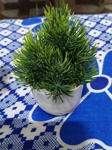Artificial Green Plant in White Pot