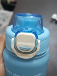 Cute Cat Water Bottle