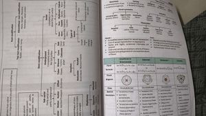 ALLEN NEET 11th full syllabus