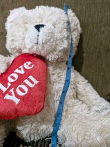 Cute Teddy Bear with "I Love You" Heart