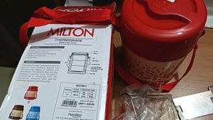 Milton Insulated Tiffin Box