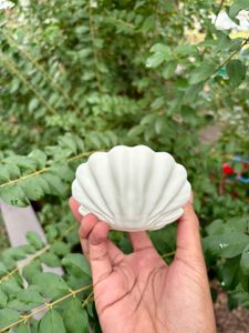 Seashell Jewelry Dish