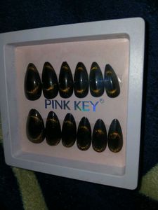 CAT EYE PRESS ONS (False Nails)
