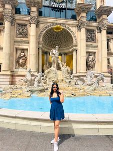 Elegant Navy Blue Mini Dress (frock)