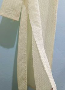 Elegant Chikankari Kurta