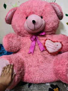 Giant Pink Teddy Bear