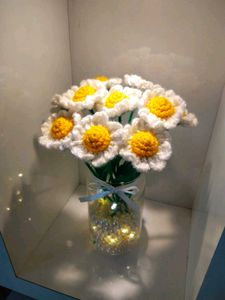 1 daisy for 99 rupees only 🌼