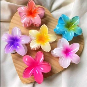 Customizable Hampers