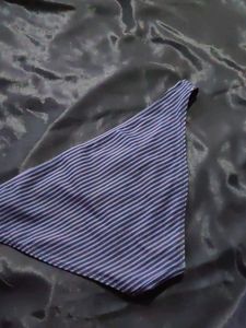 Striped Bikini Bottom